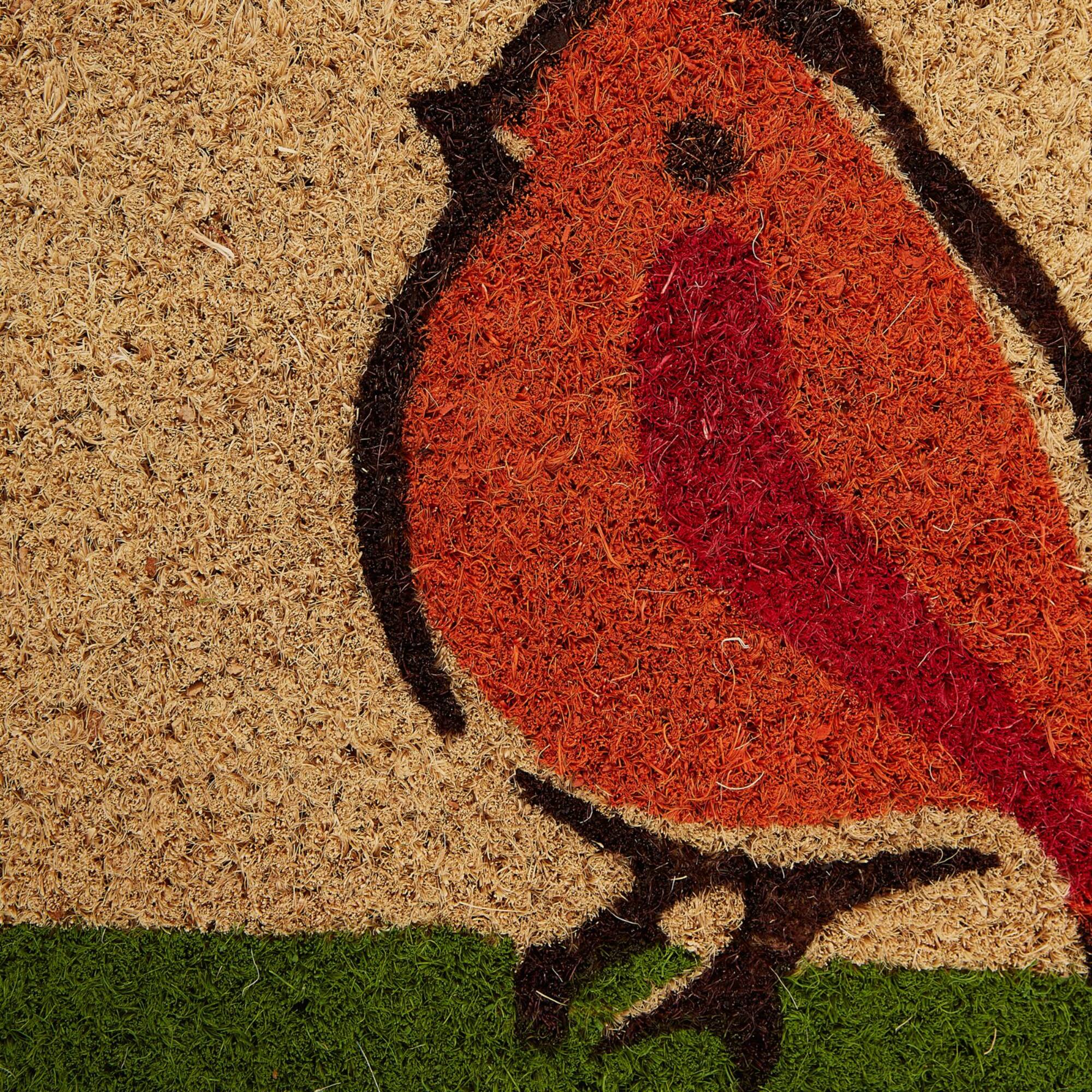 DII® Welcome Birds Doormat